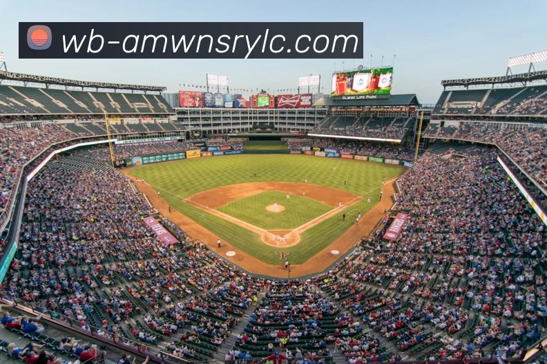 未来规划
