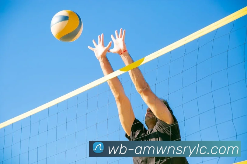 辅助工具 辅助工具